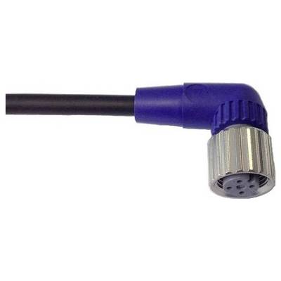 Nahaufnahme eines Stecker mit rechtem Winkel mit schwarzem Kabel und blauem Gehäuse auf weißem Hintergrund.