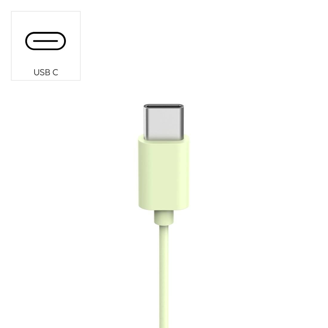 Illustration eines USB-C-Steckers auf einem hellgrünen Kabel, mit einem kleinen Etikett, das das USB-C-Anschlusssymbol und den Text „USB C" zeigt.