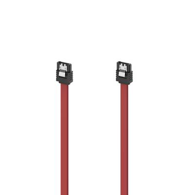 Zwei rote Kabel mit schwarzen USB-Steckern auf weißem Hintergrund.