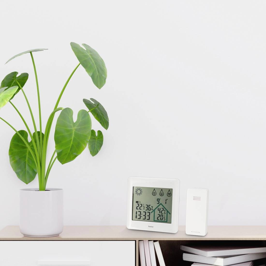 Getopferte grüne Zimmerpflanze neben einem digitalen Thermometer-Hygrometer und kleinem Sensor auf einem Regal, mit gestapelten Büchern darunter.