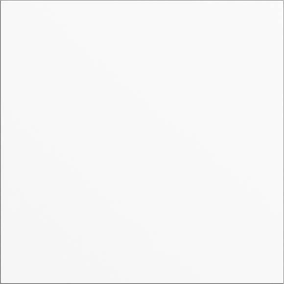 GIRA 5568902 Blindmodul Weiß