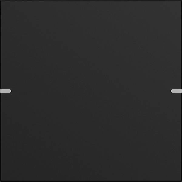 GIRA Wippe     Schwarz 5021905 1 St.