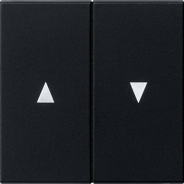 GIRA Wippe     Schwarz 0294005 1 St.
