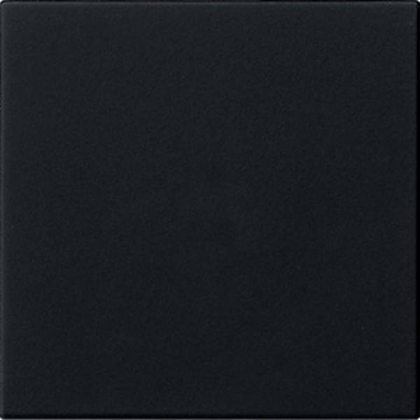 GIRA Bedienaufsatz     Schwarz 5360005 1 St.