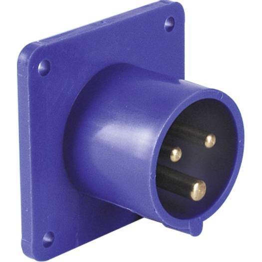 Blaue industrielle elektrische Wandsteckdose mit drei runden Stiften und quadratischer Befestigungsplatte.