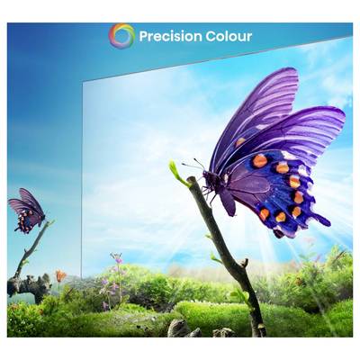 „Precision Colour"-Logo über einer farbenfrohen Schmetterlingsszene mit einem großen purpurnen und blauen Schmetterling auf einem Ast, dargestellt vor einer gerahmten Landschaftsszenerie mit Himmel.