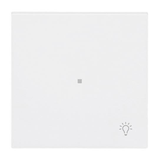 Busch-Jaeger Chrom 2CKA006220A0929 1 St.-0