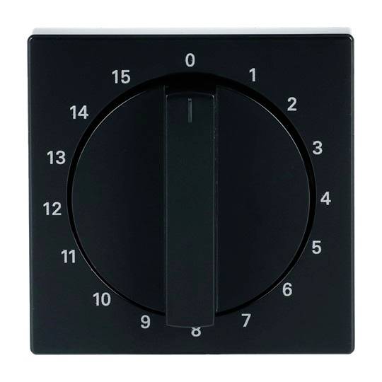 Busch-Jaeger Schwarz 2CKA001753A0255 1 St.-0
