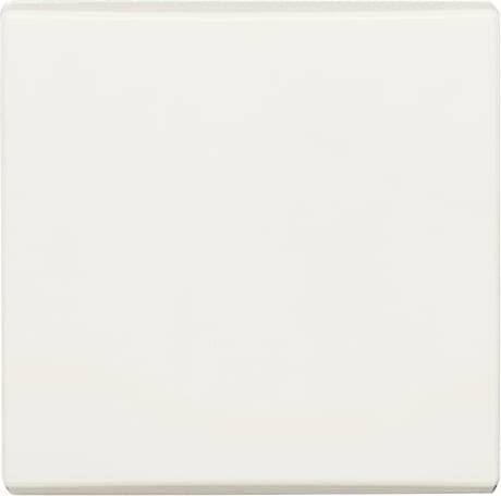 Busch-Jaeger Palladium 2CKA001731A1775 1 St.