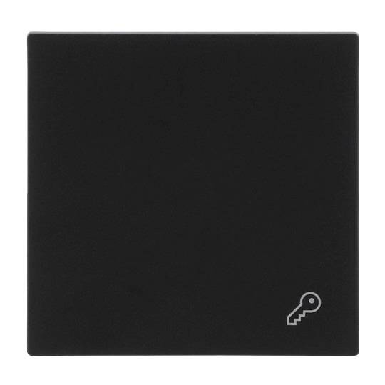 Busch-Jaeger Grau 2CKA001751A3352 1 St.-0