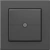 Homematic IP Funk-Wandschalter HmIP-UDI-PB2-A