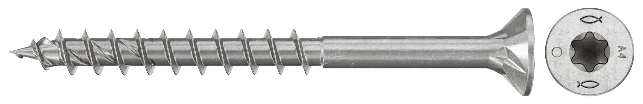Eine Metallschraube in Seitenansicht, mit groben Gewinden und flachem Kopf; eine Einführung zeigt die sternförmige Antriebsaussparung von oben.