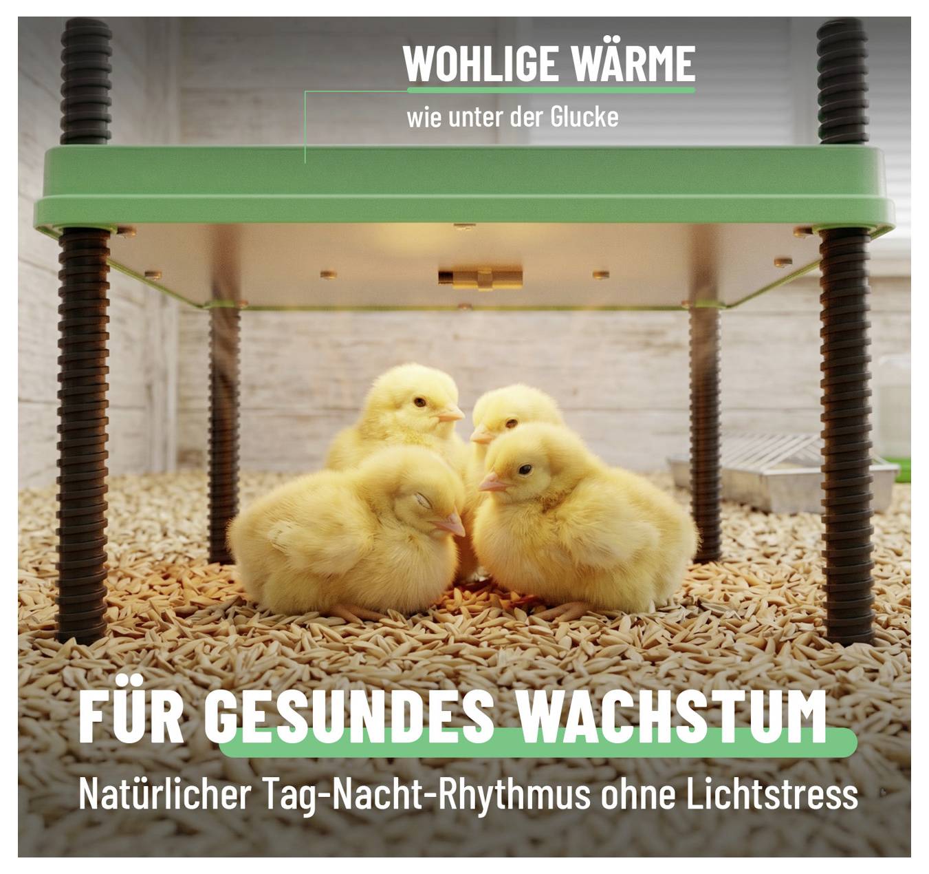 Vier gelbe Küken kuscheln sich unter einer Wärmeleuchte auf Holzspänen zusammen; der deutsche Text bewirbt „WOHLIGE WÄRME" und „FÜR GESUNDES WACHSTUM" für gesundes Wachstum.