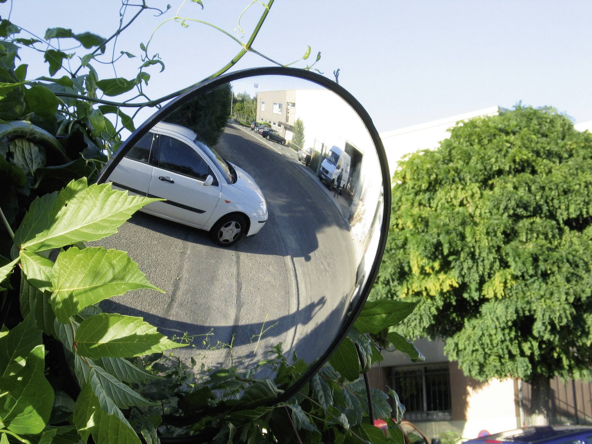 Ein runder Verkehrsspiegel zeigt eine Straße mit Autos, ergänzt durch grüne Vegetation um den Spiegel.