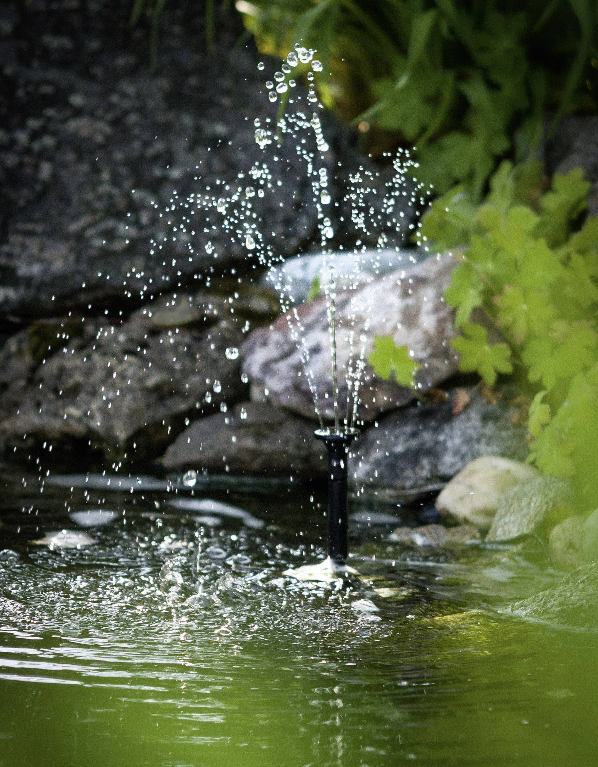 Ein kleiner Springbrunnen sprüht Wasser in einem Gartenteich, umgeben von Steinen und grüner Vegetation.