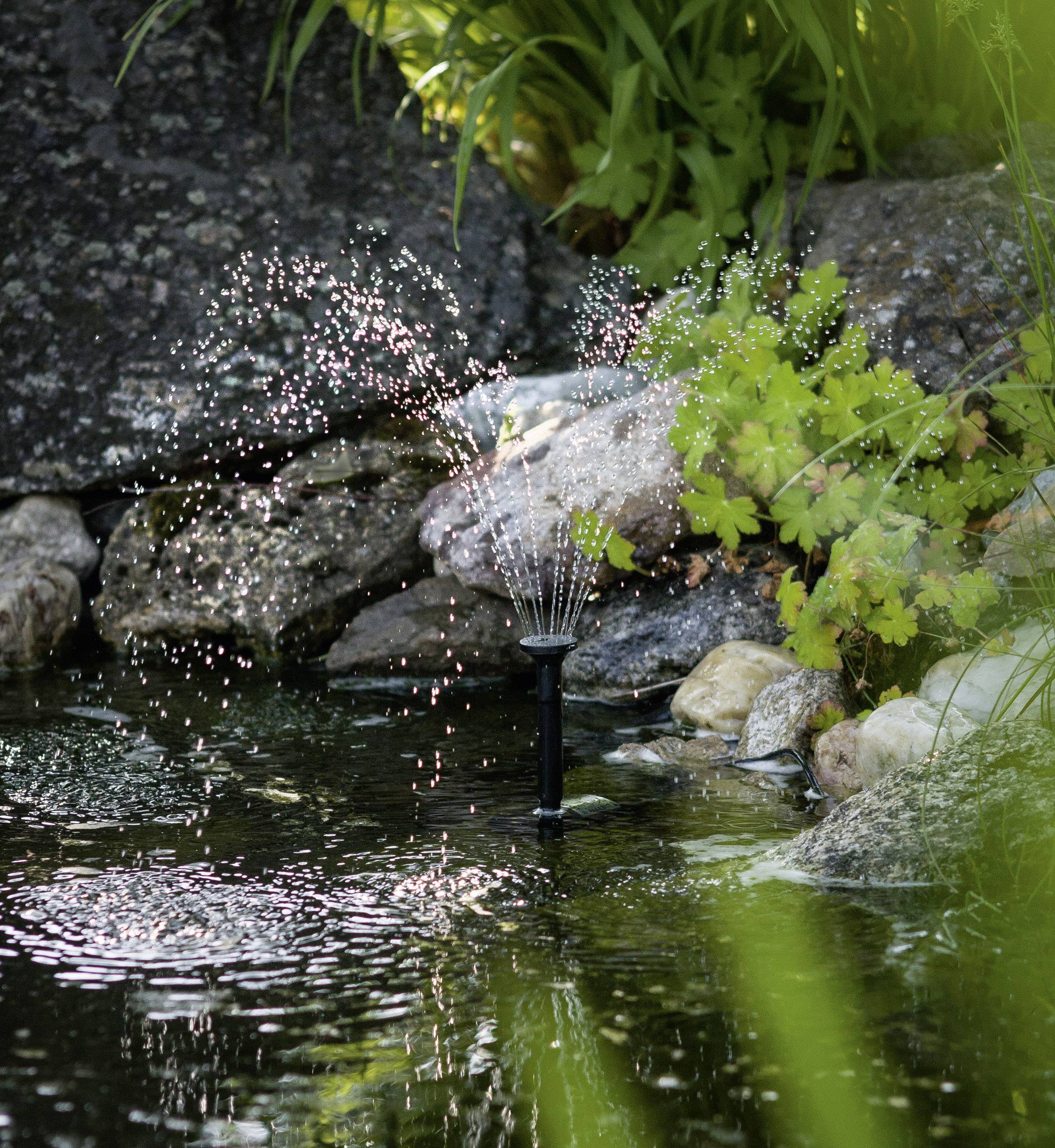 Ein kleiner Springbrunnen in einem natürlichen Teich, von grünen Pflanzen und Steinen umgeben, sprüht feine Wasserstrahlen in die Luft.