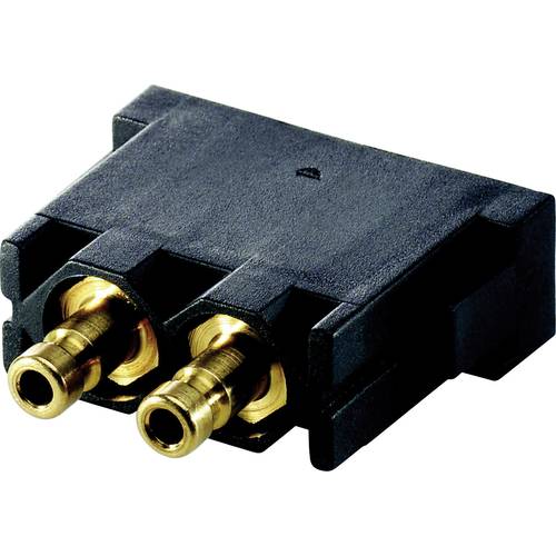 LAPP 44424008 Stiftmodul EPIC® MC Gesamtpolzahl 2 10 St.