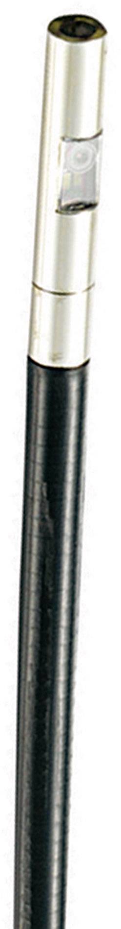 Schwarzer Spazierstock mit silbernem Griff und integriertem Glasfenster an der Spitze.