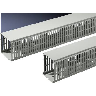 Rittal TS 8800.754  Kabelkanal  PVC Stein-Grau (L x B x H) 2000 x 100 x 80 mm 12 St. 