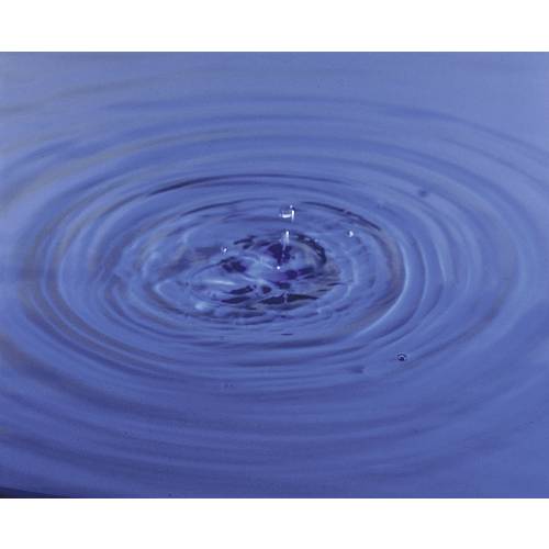 Stelzner Teststäbchen Nitrat 6 St.