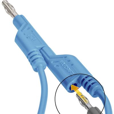 Blaue Bananenstecker mit Silberkontakt, verbunden durch ein Kabel. Ein kleines Detail zeigt die Kontaktverbindung.