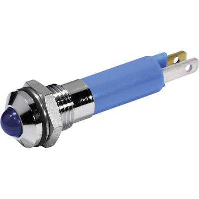 CML 19040257 LED-Signalleuchte Blau    12 V/DC    60 mcd  