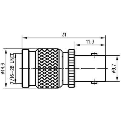 Technische Zeichnung eines Steckverbinders mit Bemaßungen: 31 mm Länge, 14,6 mm Durchmesser außen, 9,7 mm innen, Gewinde 7/16-28 UNEF.