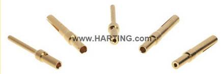 Fünf goldfarbene Steckkontakte sind in einem Bogen angeordnet. Im Hintergrund ist die Website 'www.HARTING.com' sichtbar.