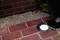Ein runder Bodenstrahler ist in roten Ziegeln eingebaut. Daneben liegt Kies. Eine Person steht nahe dem Strahler.