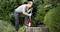 Eine Person pumpt Wasser aus einem Brunnen mit einer roten elektrischen Pumpe, umgeben von dichter Vegetation und Büschen.