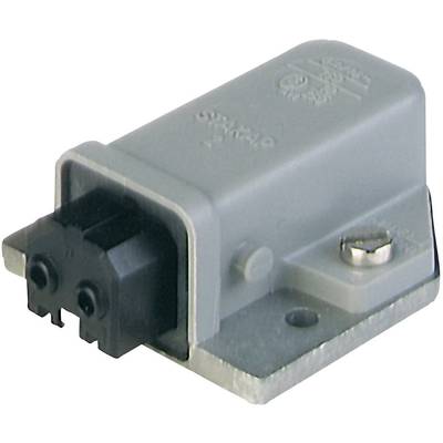 Ein grauer elektrischer Stecker mit zwei schwarzen Anschlussbuchsen, montiert auf einer Metallplatte mit einer Schraube zur Befestigung.