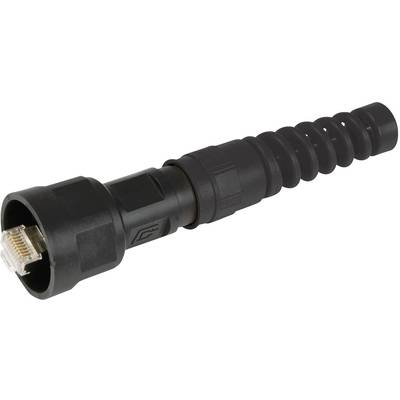 Schwarzer, spiralförmiger Kabelstecker mit einem RJ45-Anschluss, geeignet für Netzwerkverbindungen.
