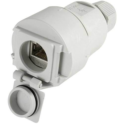 Telegärtner 100022950 STX V6 RJ45-Kupplungsdose Variante 6 100022950 Kupplung, gerade Pole: 8P8C Lichtgrau 1 St.