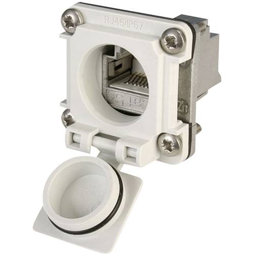 Telegärtner 100022954 STX V6 RJ45-Flanschset Variante 6 100022954 Kupplung, Einbau Pole: 8P8C Lichtgrau 1 St.