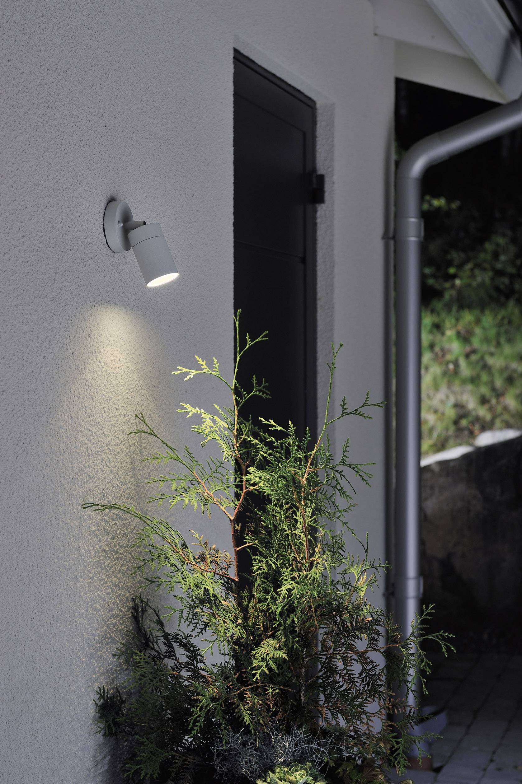 Außenlampe beleuchtet Wand und kleine Koniferenpflanze neben einer Tür.