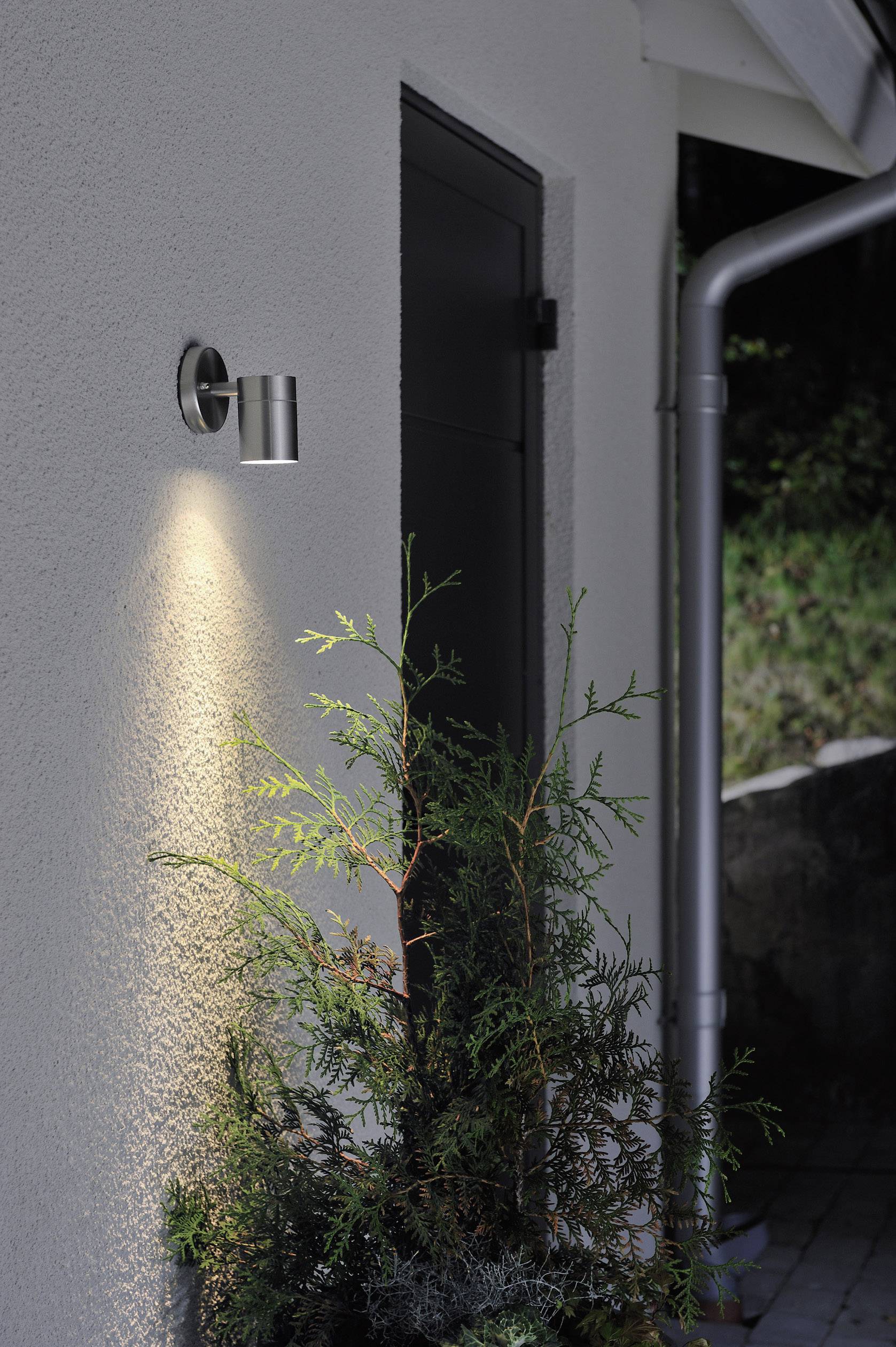 Moderne Wandleuchte an einem beige gestrichenen Haus, beleuchtet eine Pflanze darunter, neben einer schwarzen Tür.