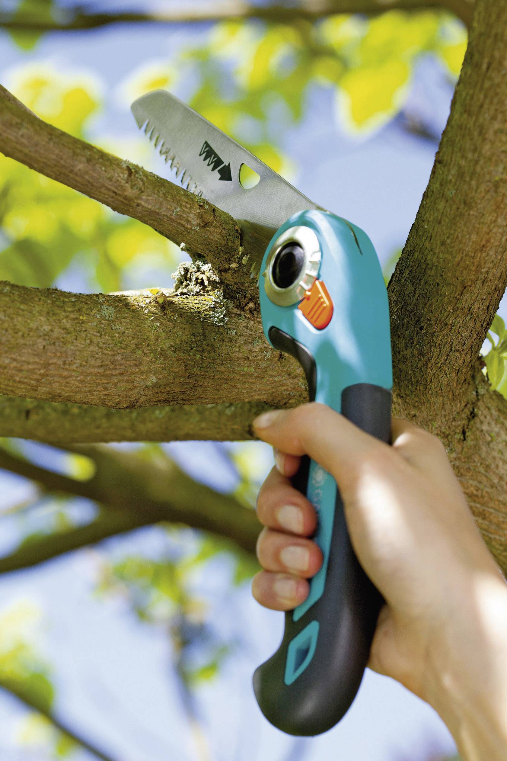 Eine Person sägt mit einer blauen, klappbaren Handsäge einen Ast von einem Baum. Die sonnige Umgebung deutet auf Gartenarbeit im Freien hin.