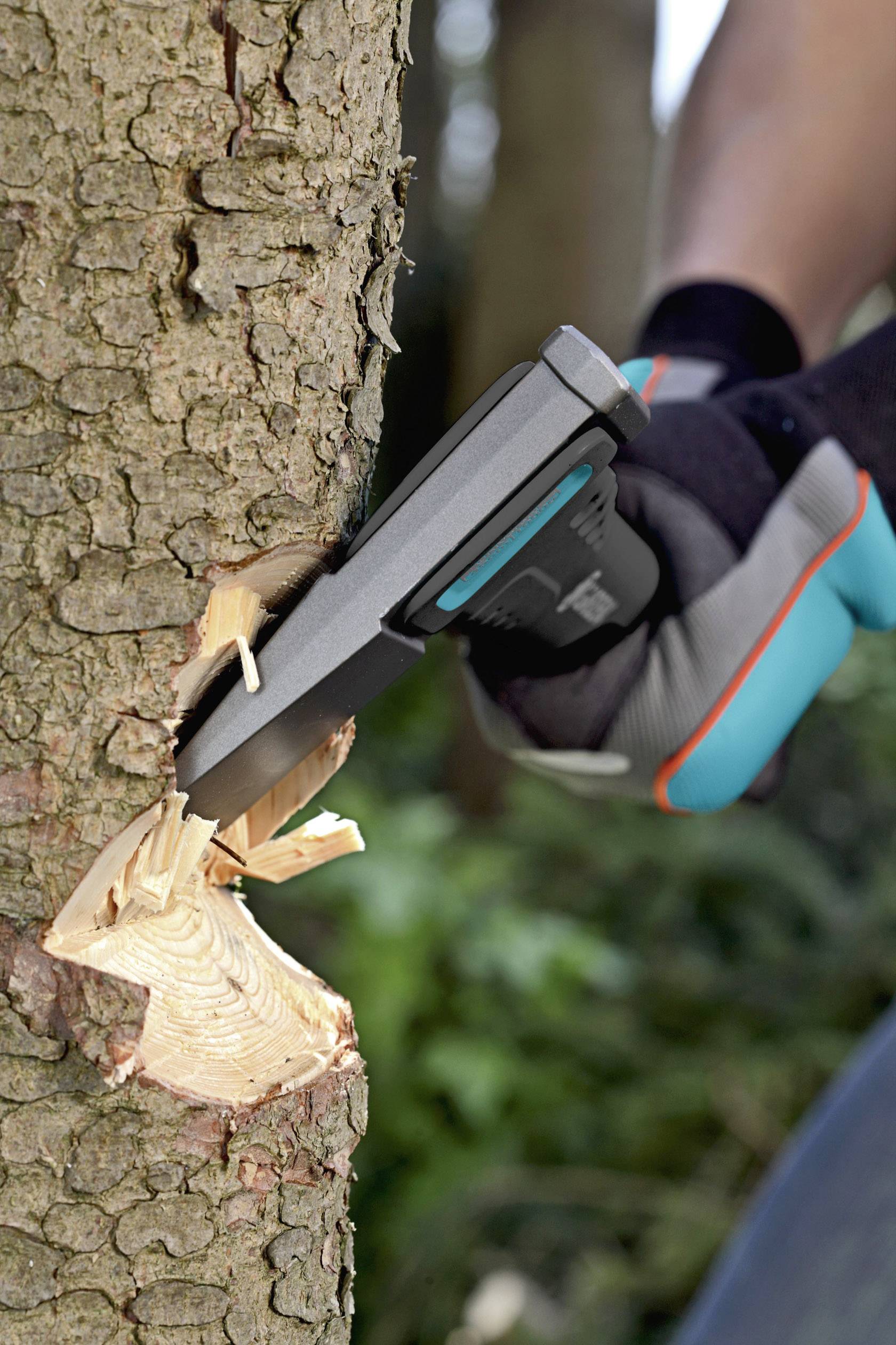 Eine Person fällt mit einer Axt einen Baum. Nahaufnahme der Axt, die in den Stamm schlägt, mit Holzspänen im Vordergrund.