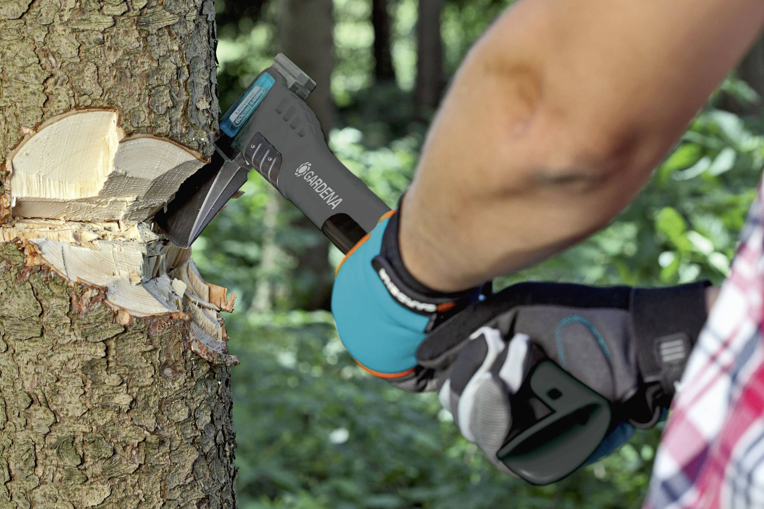 Person in Handschuhen hackt mit Axt Rinde von Baum in Wald. Fokus auf Axt und Baum, Umgebung grün und bewaldet.