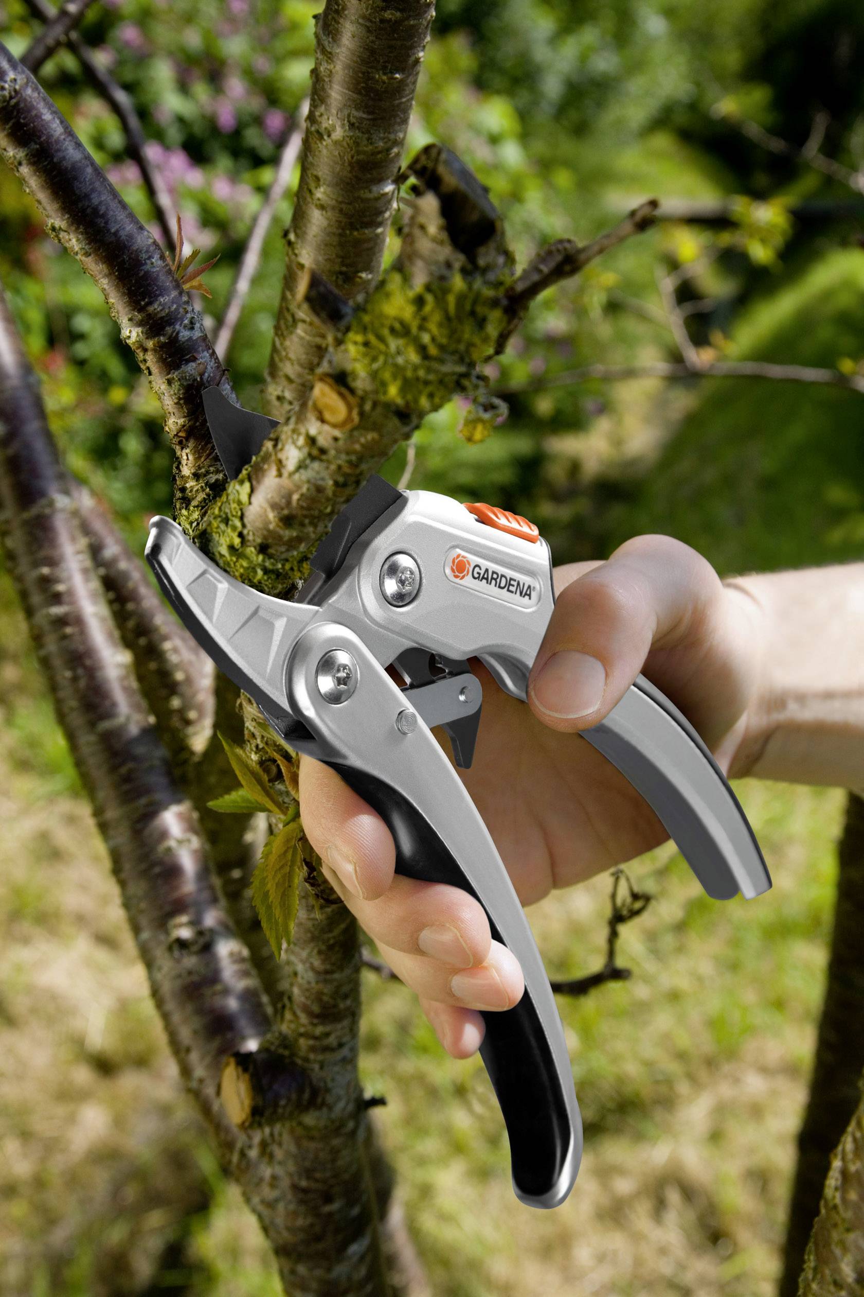 Eine Hand schneidet einen Ast mit einer Gartenschere in einem Garten. Die Schere ist silber und schwarz mit orangefarbenen Details.