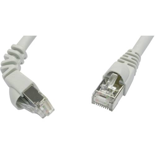 Telegärtner 100008011 RJ45 Netzwerkkabel, Patchkabel CAT 6a S/FTP 1.00 m Grau Flammwidrig, mit Rastnasenschutz 1 St.