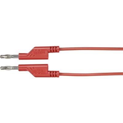 Zwei rote Bananenstecker mit Kabel, einer beschriftet mit '10A'.