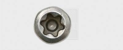 Eine silberne Torx-Schraube mit sternförmigem Antrieb, auf grauem Hintergrund, von oben gesehen.