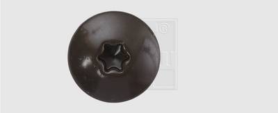 Eine schwarze, sternförmige Schraubenkappe aus Kunststoff auf weißem Hintergrund.
