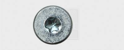 Eine silberne Torx-Schraube von oben gesehen, zeigt einen sternförmigen Kopf.