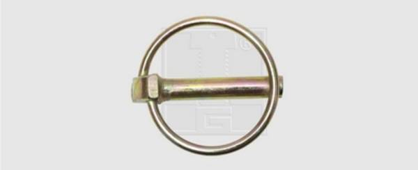 SWG Klappstecker 4,5 X 40 Stahl verzinkt 42 mm   10 St.