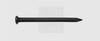 SWG 979123030 Nägel (Ø x L) 2 mm x 30 mm Stahl gebläut 100 St.