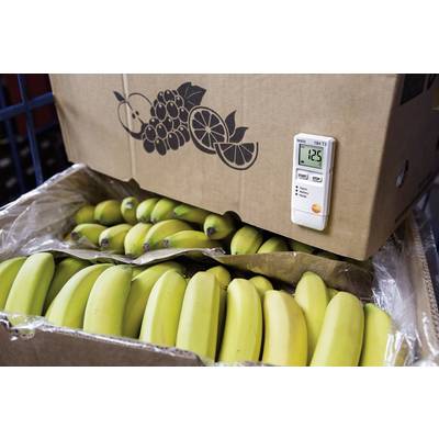 Bananenlager mit offener Kiste, Thermometer zeigt 12,5°C, Karton mit Fruchtillustration.