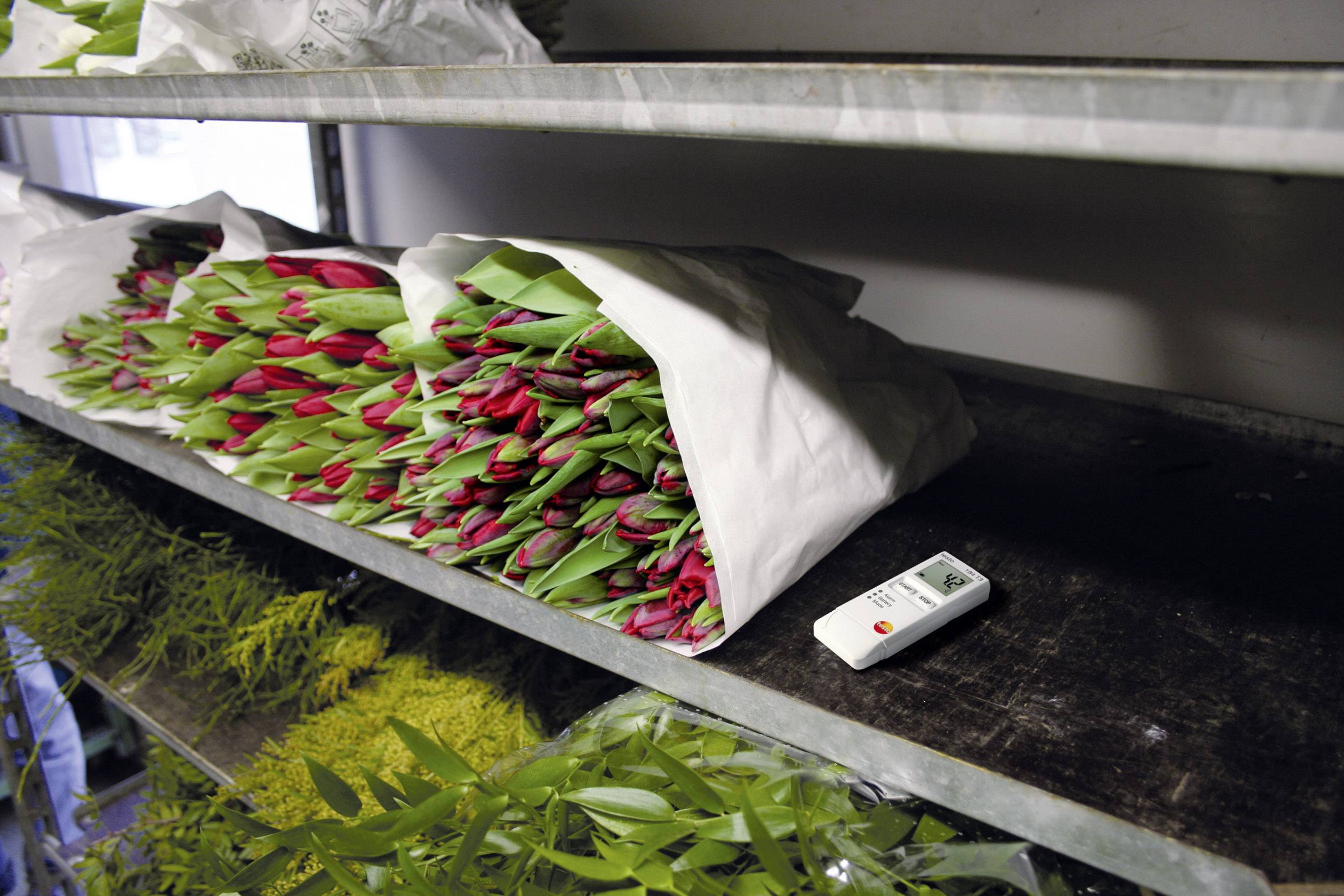Ein Stapel roter Tulpen in weißem Papier verpackt liegt auf einem Regal. Daneben liegt eine kleine Fernbedienung.