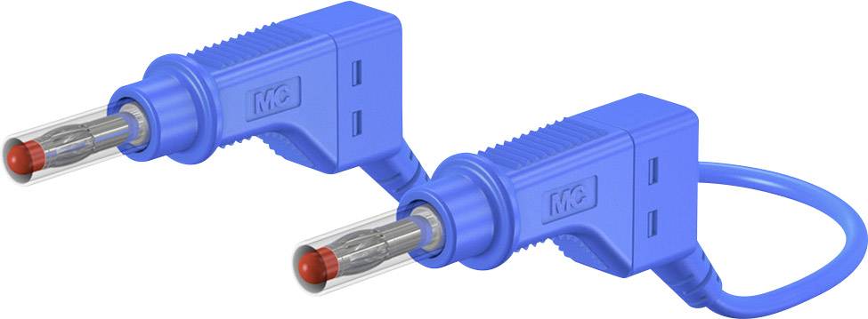 Zwei blaue Stromstecker mit rotem Steckkontakt, die in einer Schutzvorrichtung eingebaut sind, verbunden durch ein blaues Kabel.